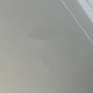 Meet your Posher, Ava